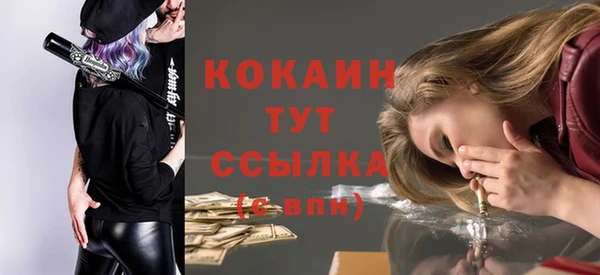 прущие грибы Абаза
