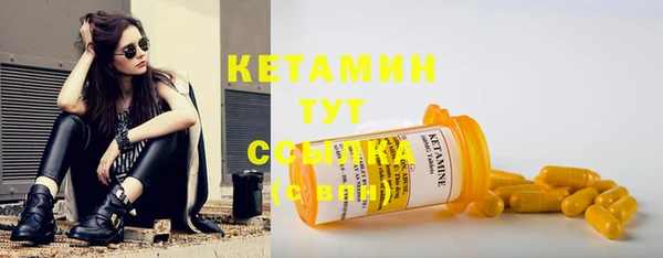прущие грибы Абаза