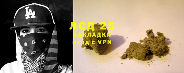 прущие грибы Абаза