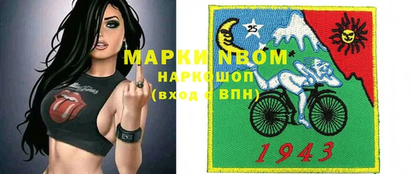 прущие грибы Абаза