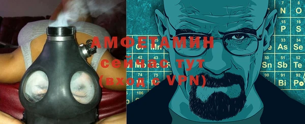 прущие грибы Абаза
