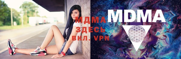 прущие грибы Абаза