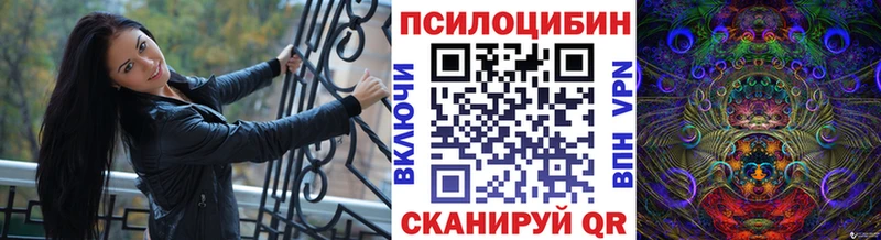 Псилоцибиновые грибы ЛСД OMG зеркало Новочебоксарск